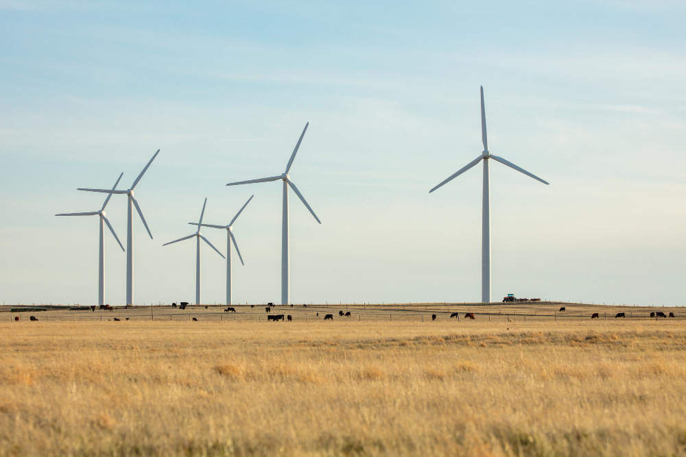 Wind turbines in landscape